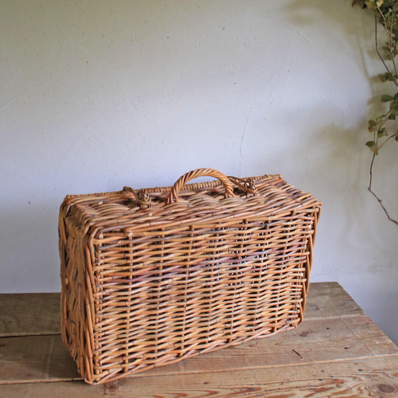 楽天市場】アラログバゲッジバスケットL / かご トランク ナチュラル