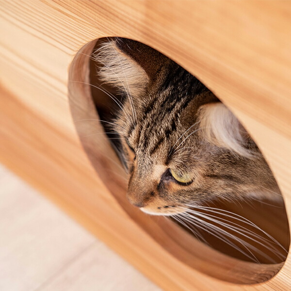 楽天市場】ローテーブル 猫用 キャットハウス付き センターテーブル 猫