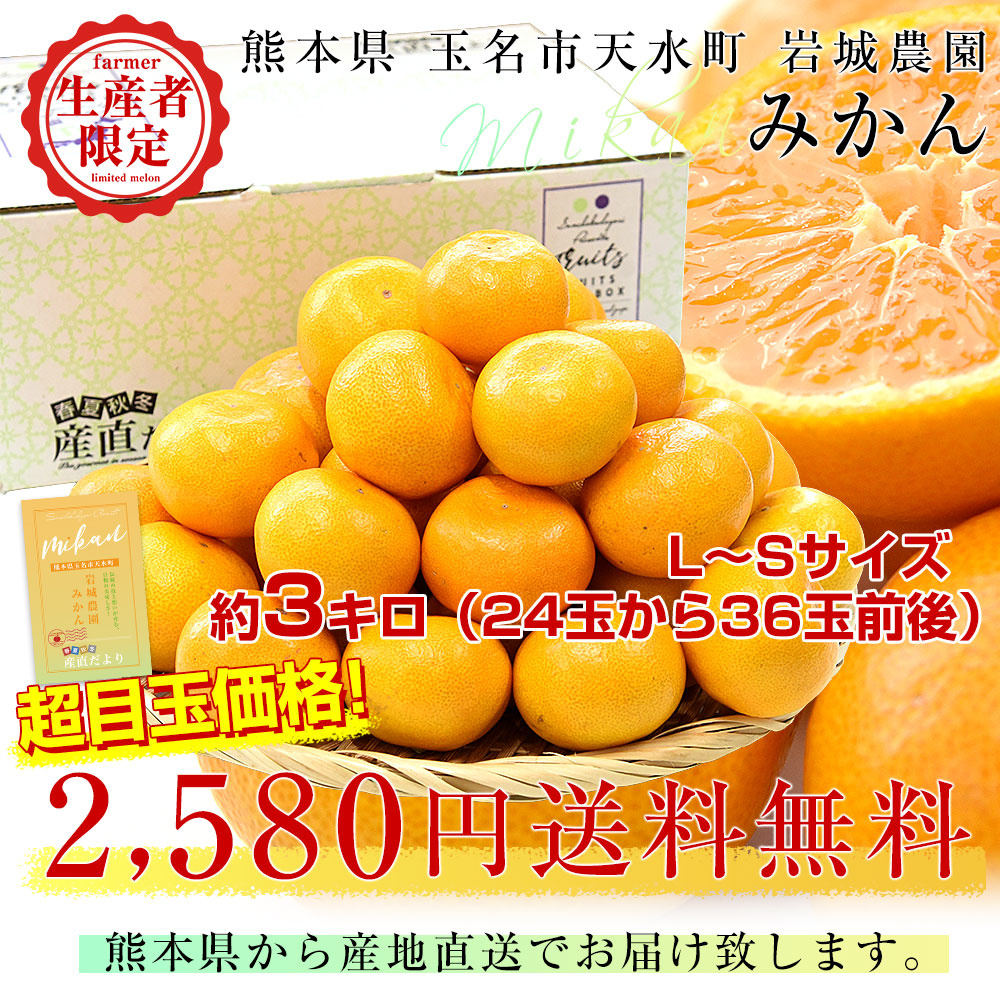 楽天市場】熊本県から産地直送 玉名市天水町 岩城農園 みかん LからS