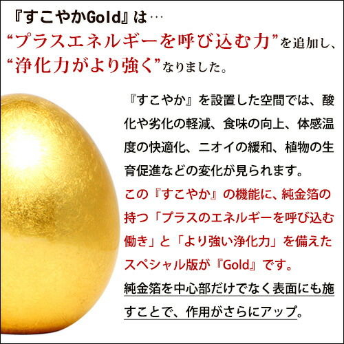 楽天市場】すこやか ポット Gold 大 : トータルヘルスデザイン