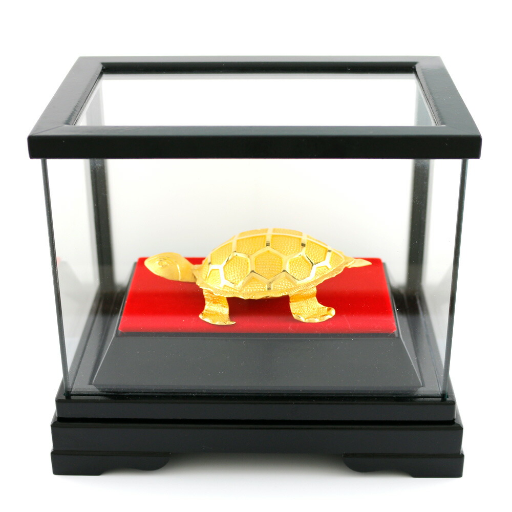 カメ好きさん専用 カメさん専用 カメさん専用 めめさん専用 Amazon