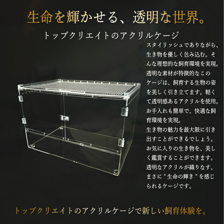 楽天市場】爬虫類ケージ アクリルケージ 4530 サイズ45×30×30cm 透明