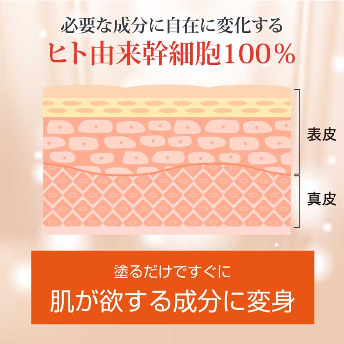 楽天市場】【ポイント5倍】【メール便】ヌービス セル（美容液マスク