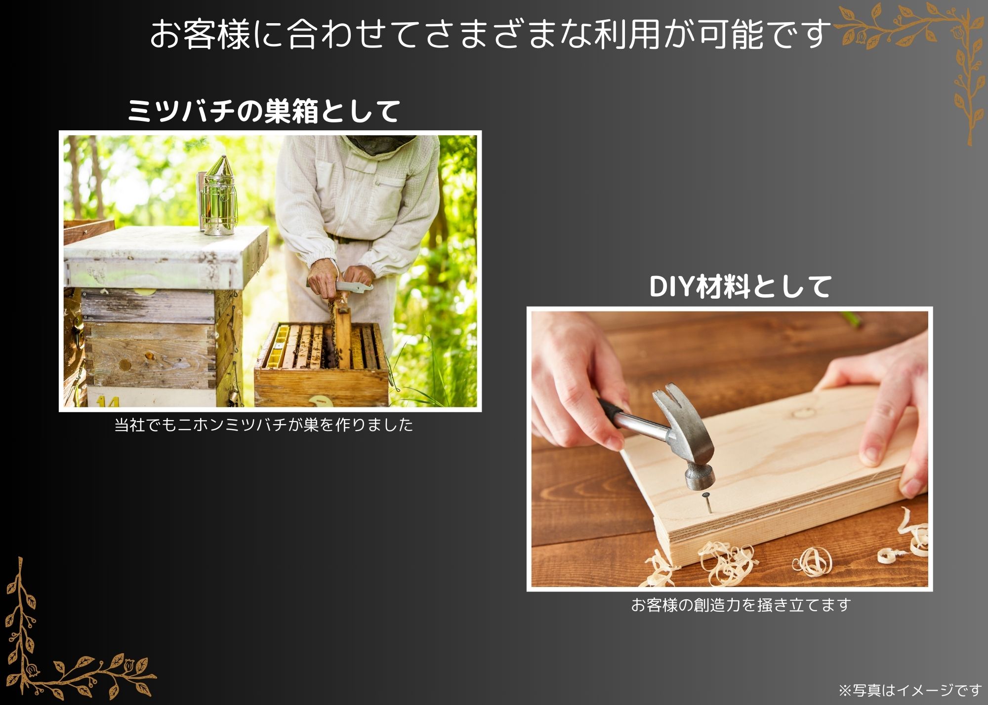 楽天市場】蜜蜂巣箱 杉板 国産 150×35×255mm16枚入り 養蜂箱 国産