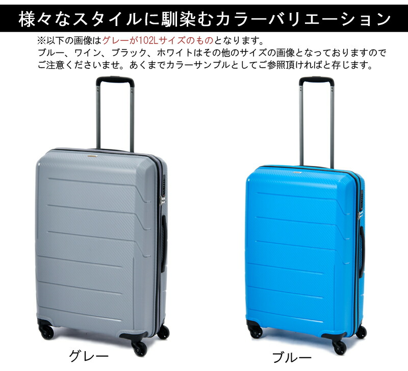 楽天市場】【10日以上の旅に】エース(ACE) ゼット・エヌ・ワイ(Z.N.Y