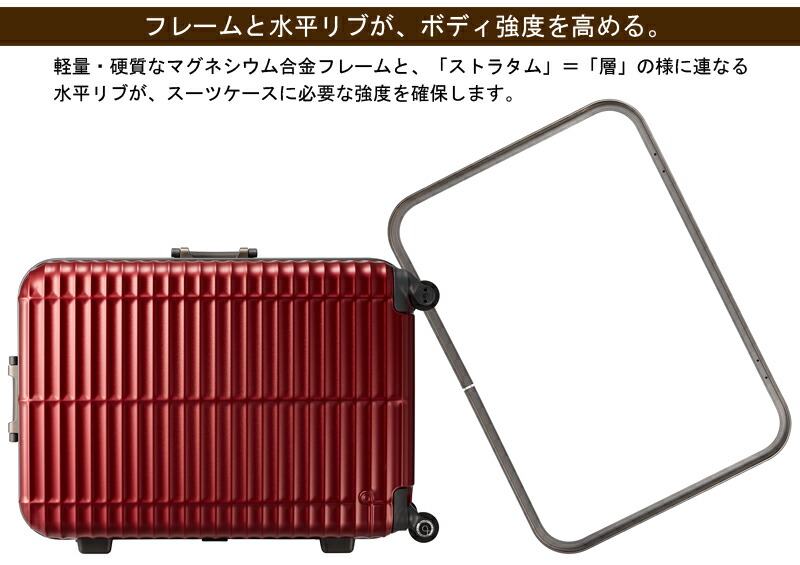 楽天市場】【送料無料】 エース(ACE) PROTECA/プロテカ ストラタム