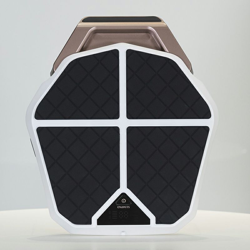 楽天市場】【送料無料】 スリムパッド レグネス CL-HB-550