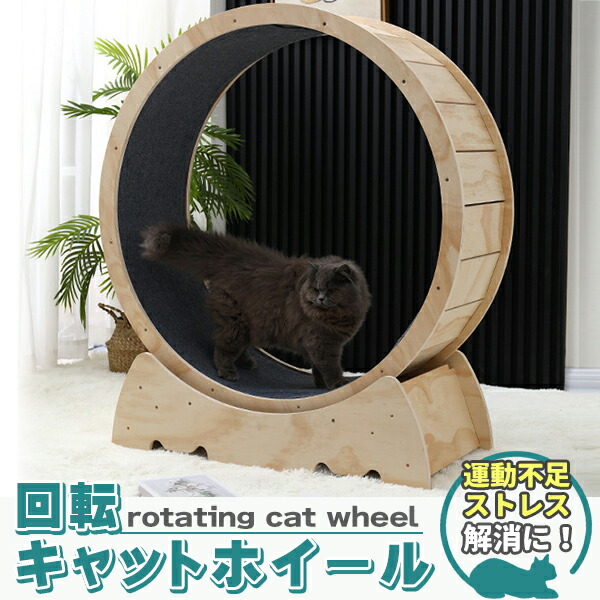 楽天市場】キャットホイール 猫専用ルームランナー 猫 回し車 猫