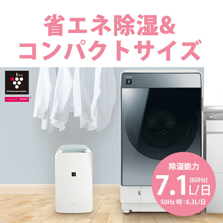 楽天市場】[3/5限定 抽選で最大100%ポイントバック＆最大2000円OFF