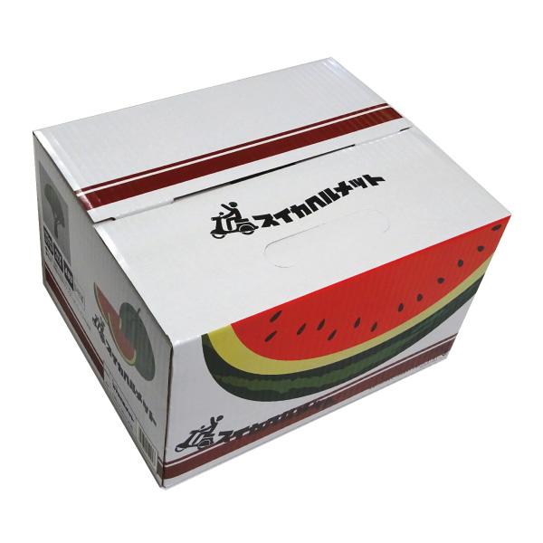 楽天市場】TL01 リード工業 スイカ柄ヘルメット スイカ ヘルメット