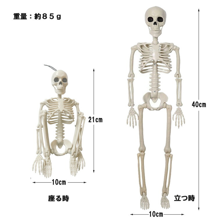 楽天市場】骸骨 ガイコツ スカル ドクロ 40cm ハロウィン 飾り 髑髏