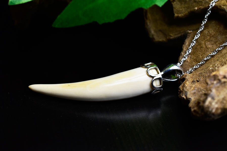 楽天市場】マンモスの牙 ネックレス ペンダントトップ □ウーリー