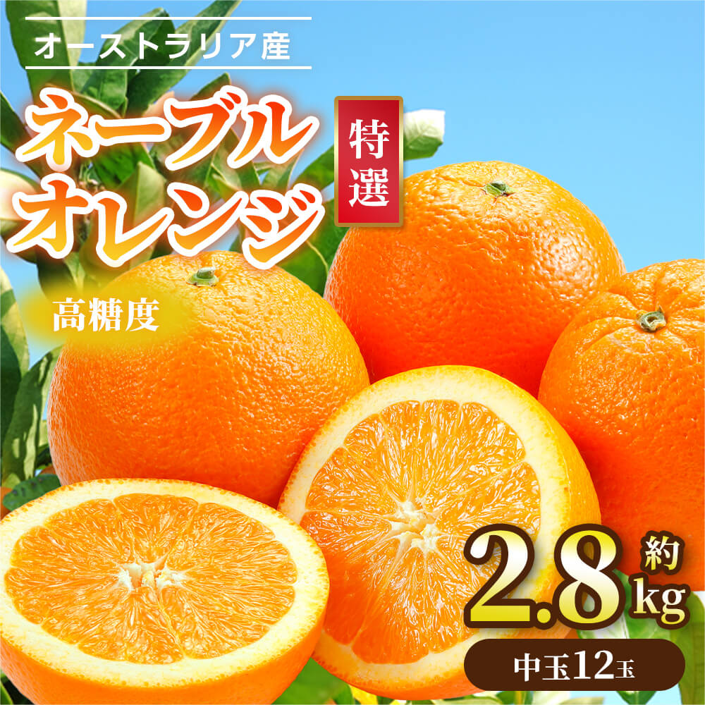 楽天市場】ネーブルオレンジ オーストラリア産 小箱 約2.8kg 約12玉 中