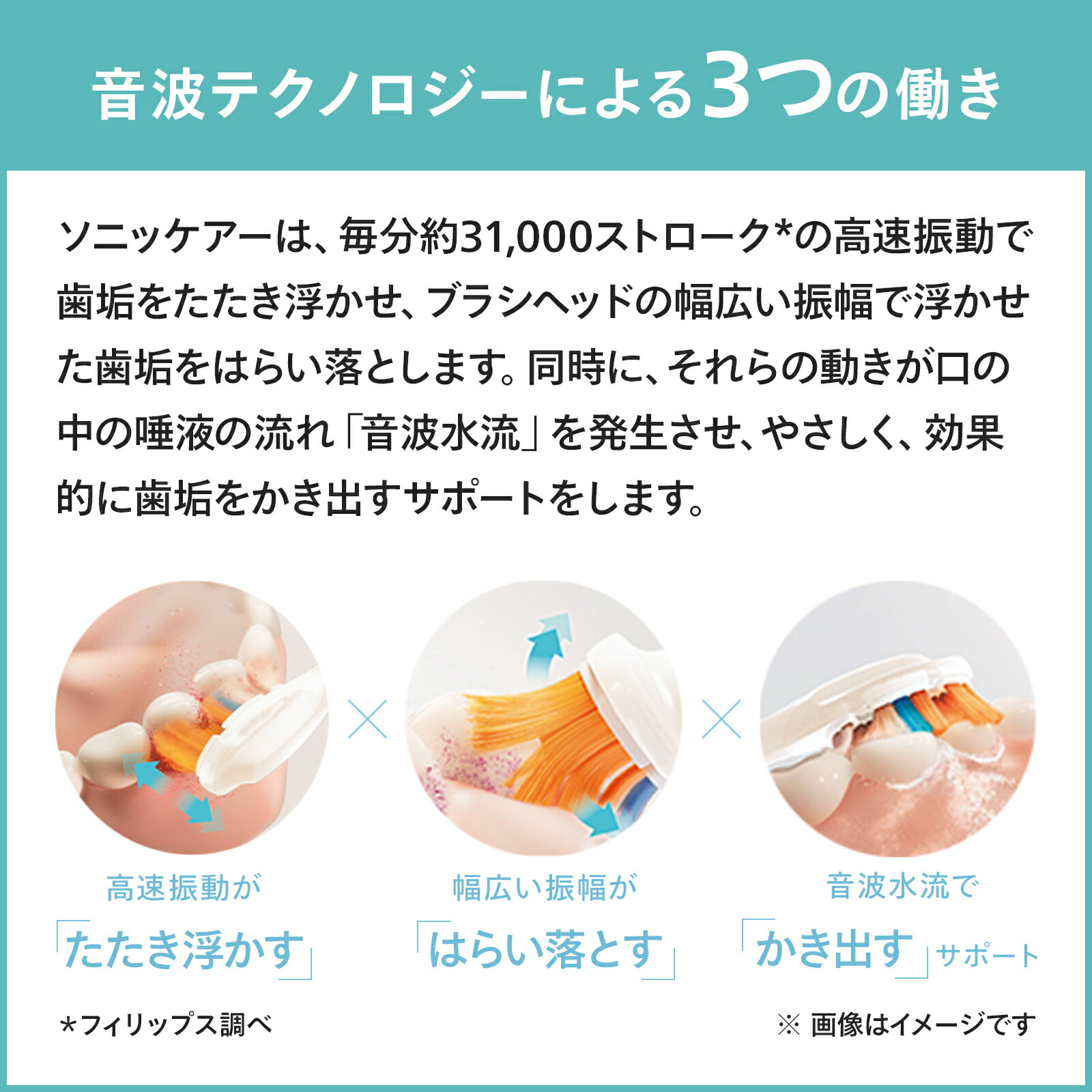 楽天市場】【全額返金CP 対象購入期間：3/1〜】【替えブラシホルダー