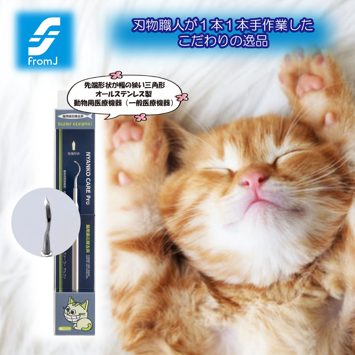 楽天市場】PKBジャパン オーラティーン デンタルジェル 28g［ネコポス