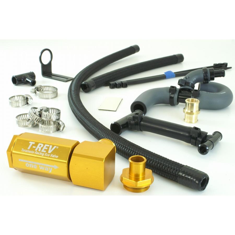 楽天市場】テラモト T-REV αシステム ゴールド ZRX1200R/S 4795