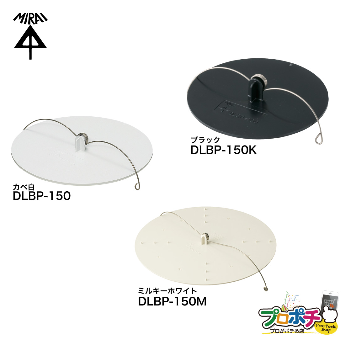 楽天市場】【5のつく日】【ポイント5倍】【在庫有】ブランクプレート