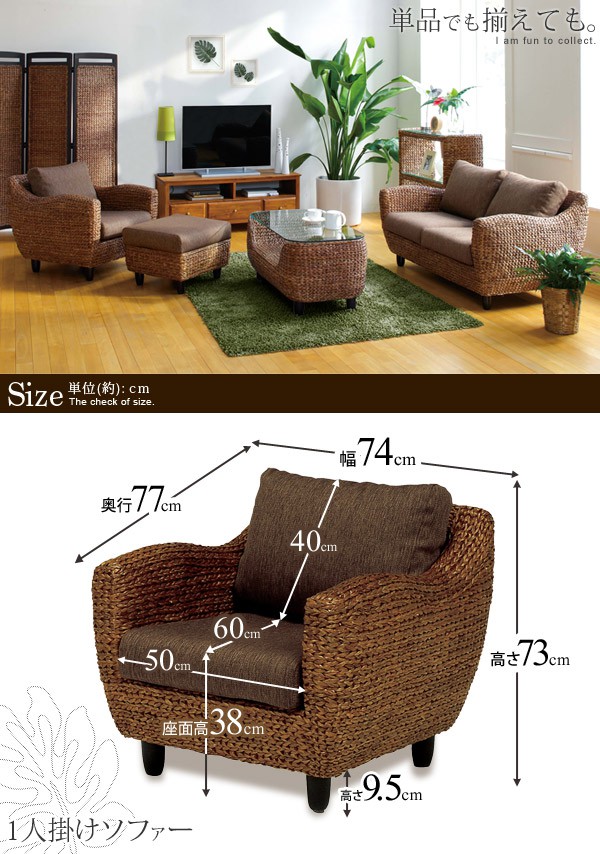 楽天市場】【3%クーポンあり☆7・8日限定】ウォーターヒヤシンス 1人