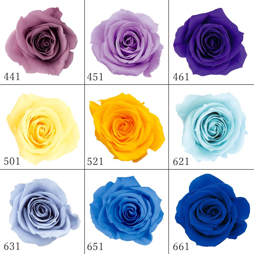 楽天市場】【P15倍中 3/11 9:59まで】 プリザーブドフラワー 花材