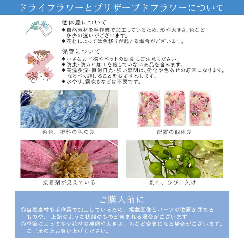 楽天市場】ドライフラワー 花材 即日出荷 ドライフラワー 花材セット