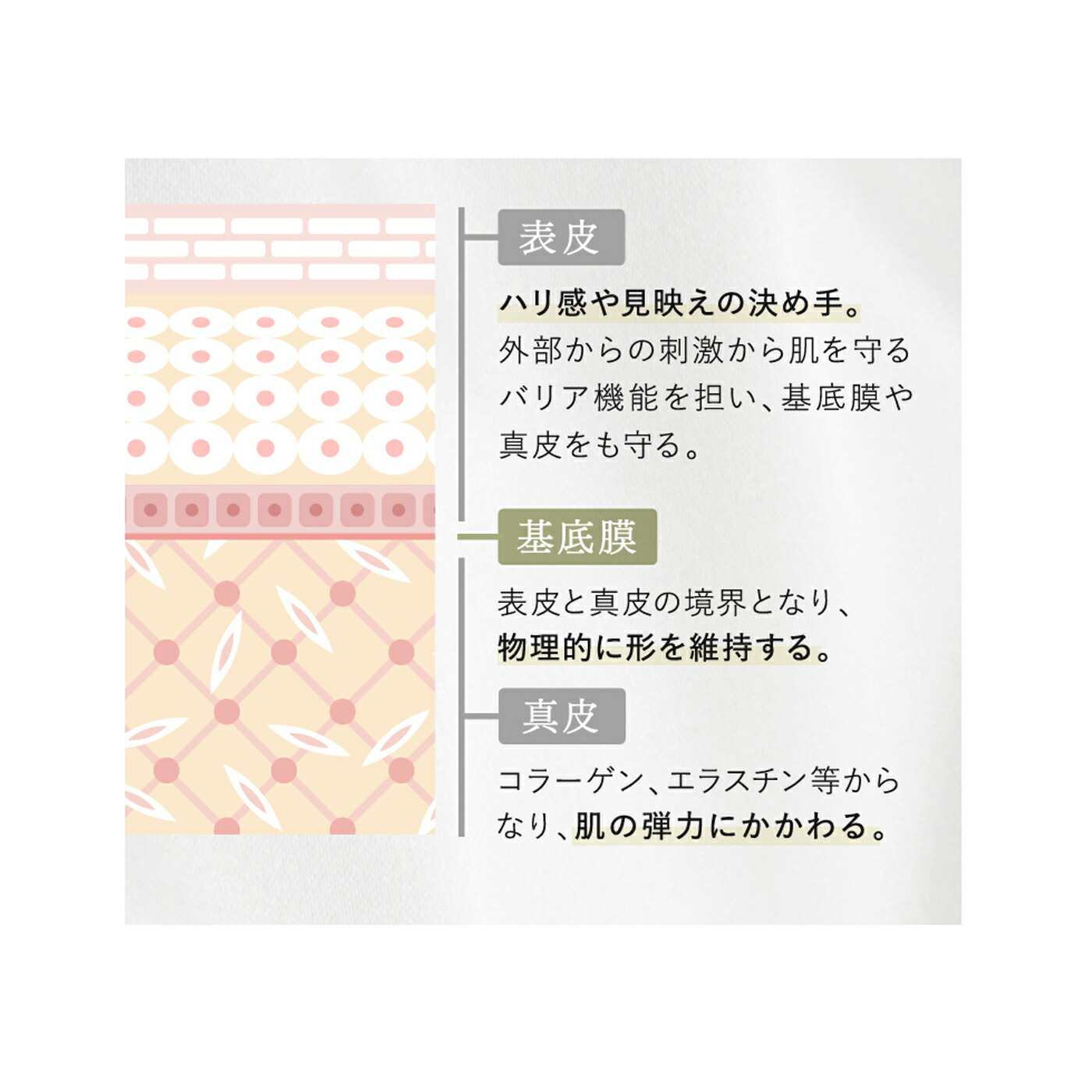 楽天市場】【公式店】ライース リンクルクロス 20g 【医薬部外品