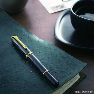 楽天市場】万年毛筆 呉竹 『くれ竹万年毛筆 夢銀河 天然木 梨 全3色