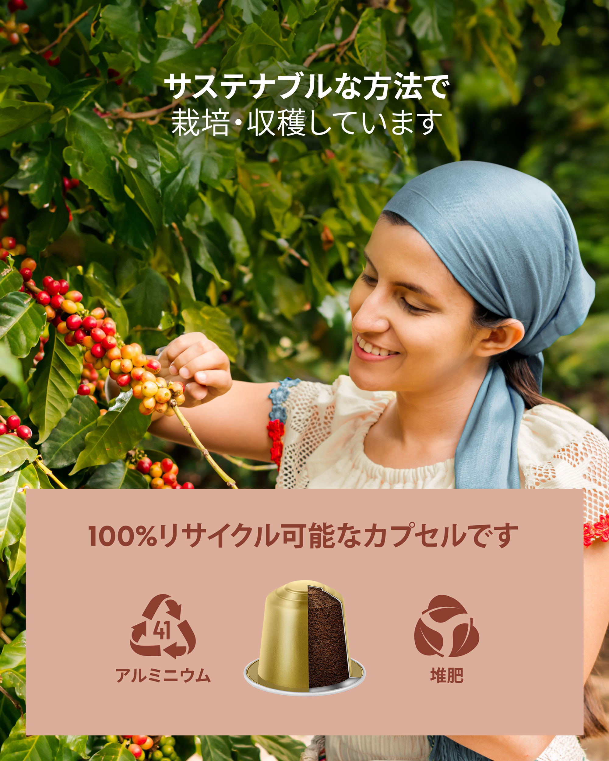 楽天市場】【公式】 ネスプレッソ 互換カプセル 80杯分 コーヒー