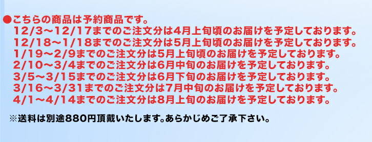 楽天市場】夫が寝たあとに オリジナル 瞬履きスニーカー : テレ朝通販