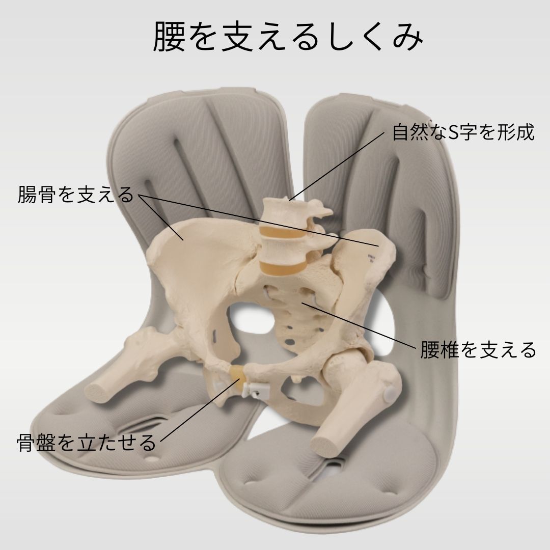 楽天市場】カーブルチェア グランド 姿勢矯正 腰痛 猫背 骨盤矯正 椅子
