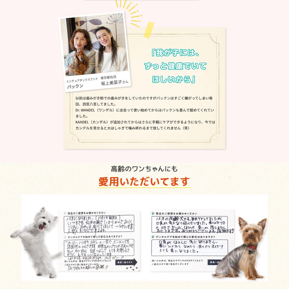 楽天市場】【公式】【スーパーSALE ¥400OFFクーポン☆3/11 1:59まで