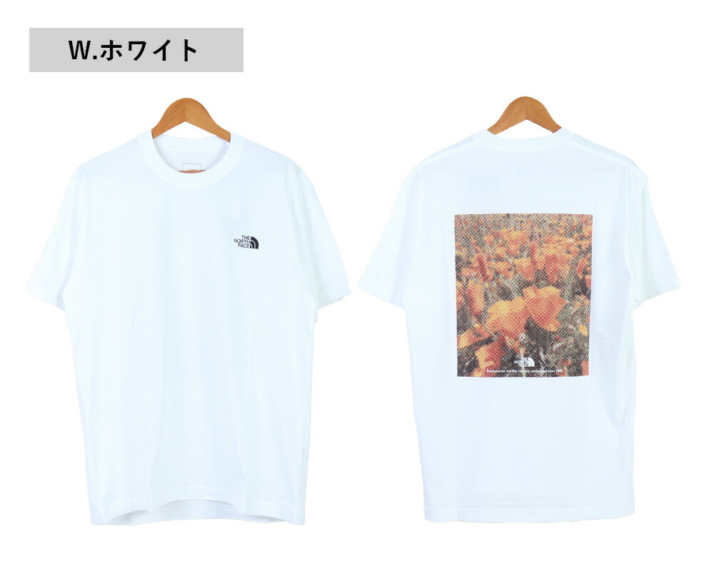 楽天市場】THE NORTH FACE Tシャツ メンズ 半袖 吸汗速乾 ザ・ノース