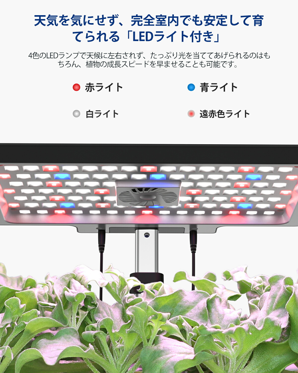 楽天市場】【先着30名様限定クーポン配布中】iDOO 水耕栽培キット 野菜