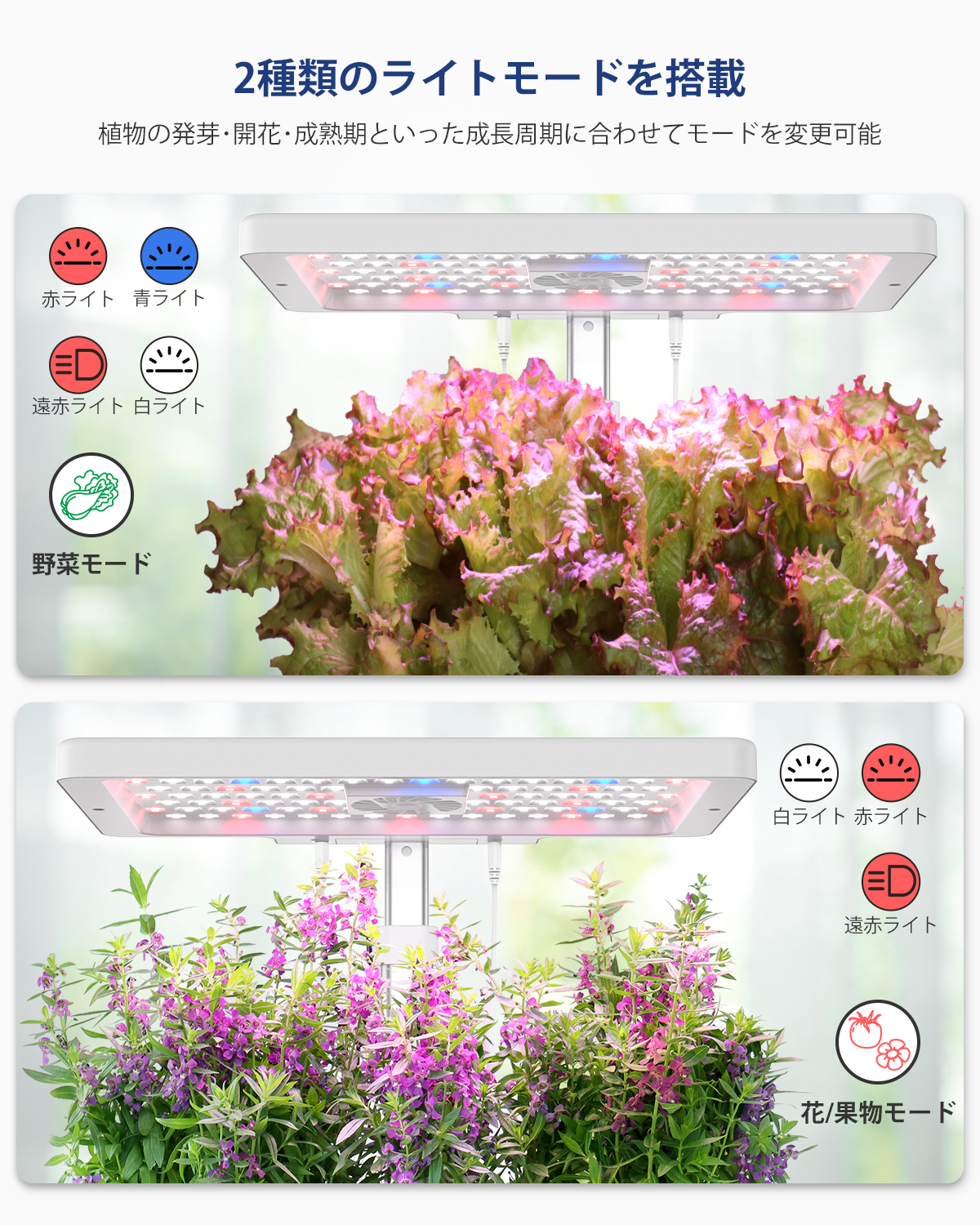 楽天市場】【先着30名様限定クーポン配布中】iDOO 水耕栽培キット 野菜