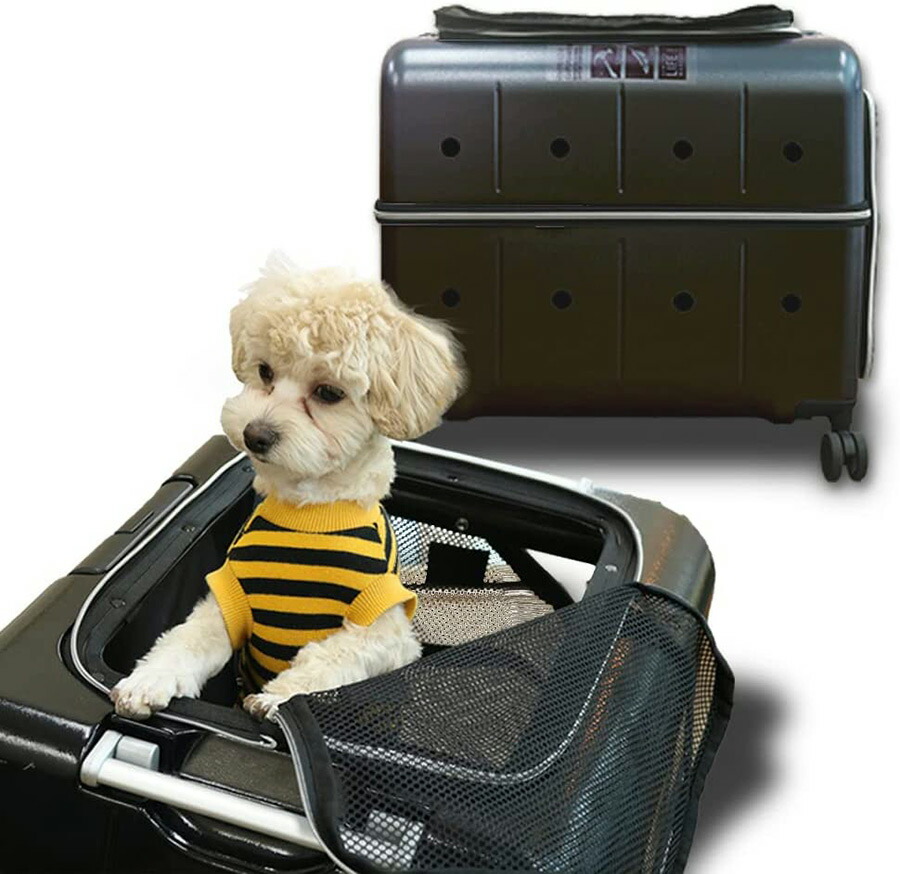 楽天市場】【RETOO公式】ペットネル ペット キャリー バッグ かばん