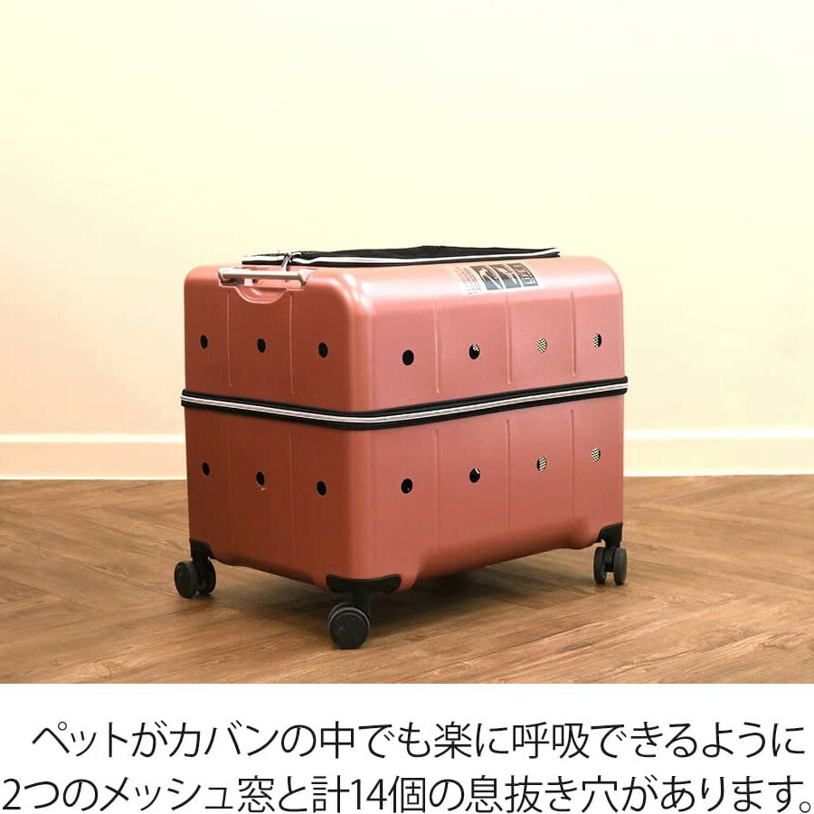 楽天市場】【RETOO公式】ペットネル ペット キャリー バッグ かばん