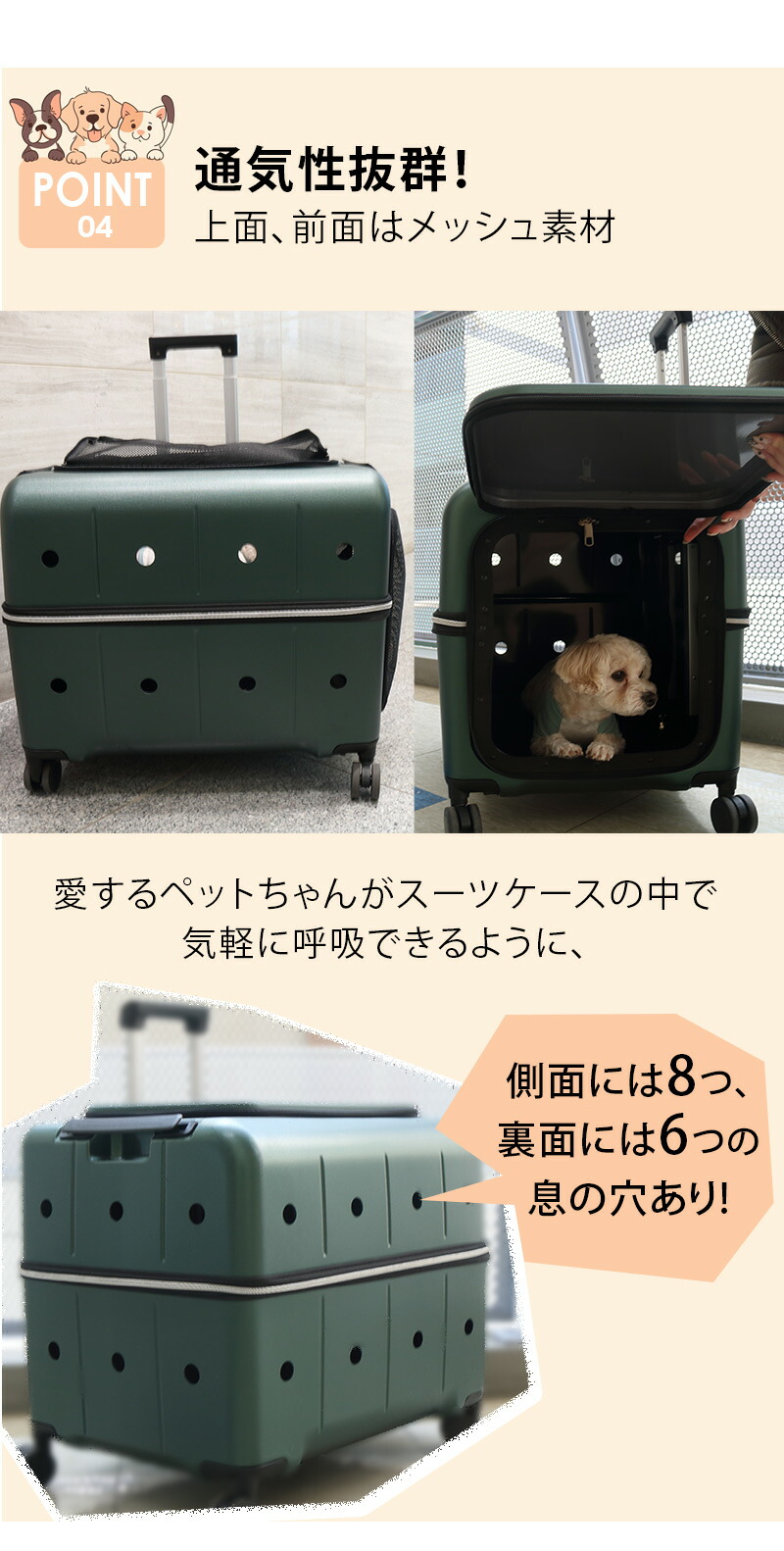 楽天市場】【RETOO公式】☆2025年リニューアル☆ ペットネル ペット