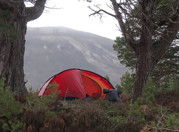 楽天市場】各色 HILLEBERG NIAK 1.5 専用フットプリント付き