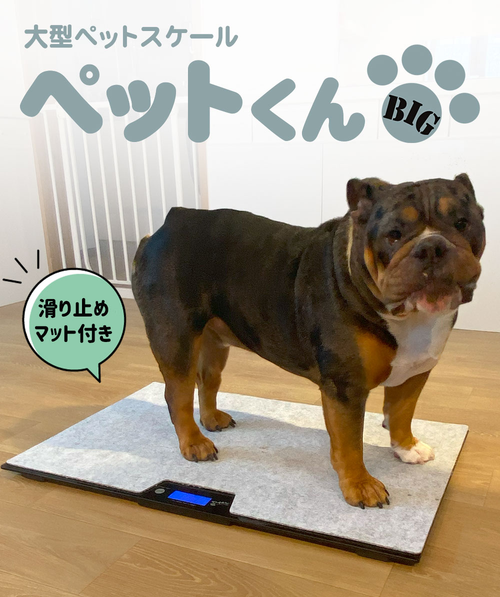 楽天市場】SALE！3/11/1:59迄☆ ペット 体重計 大型ペットスケール