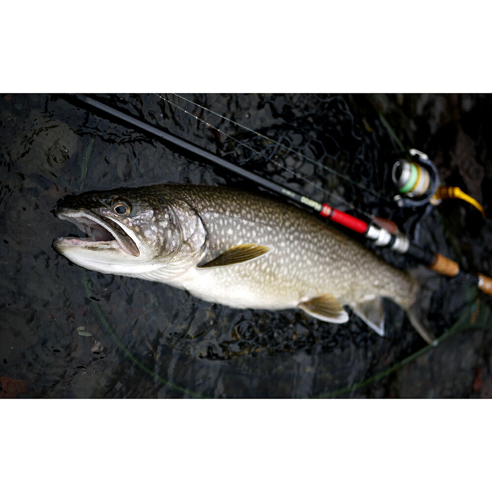 楽天市場】フエルコ GT906-6S【スピニングモデル / 6pcs】（Huerco