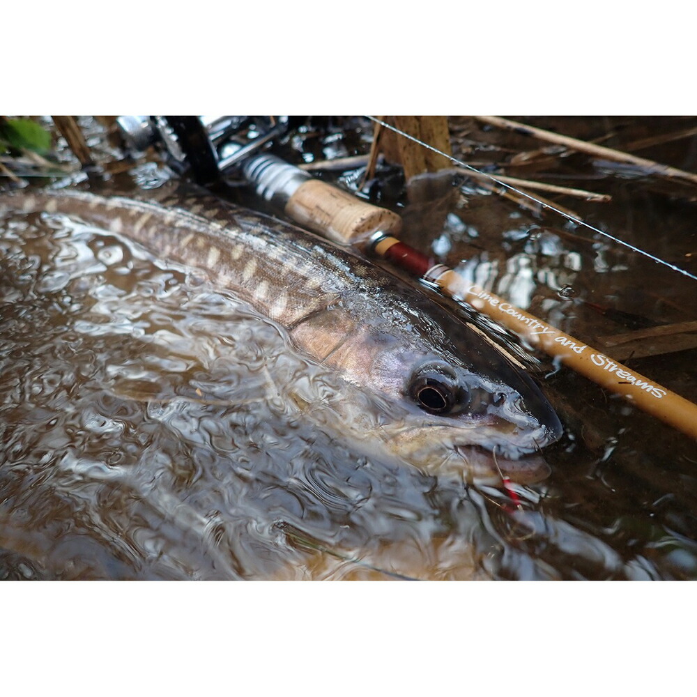 楽天市場】ライムカントリーアンドストリームス Malibu Classic MCB