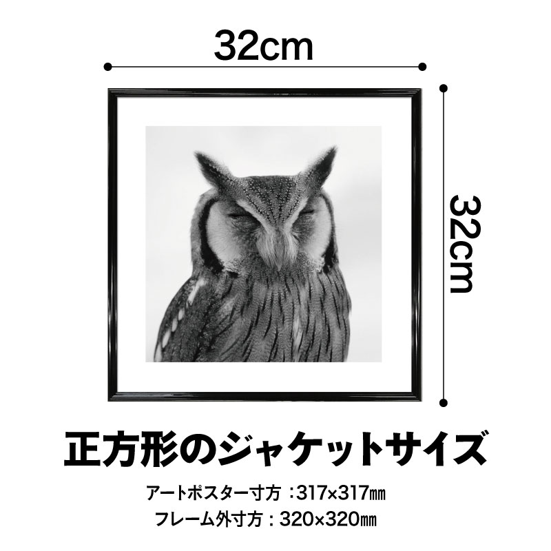 楽天市場】【 フレーム付 アートポスター 正方形 MONOCHROME
