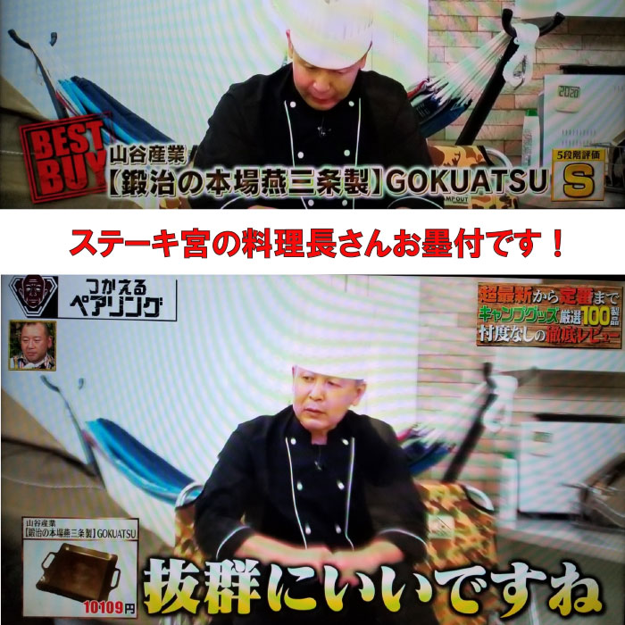 楽天市場】＼SS中割引クーポン有+ポイント5倍／【極厚鉄板 L