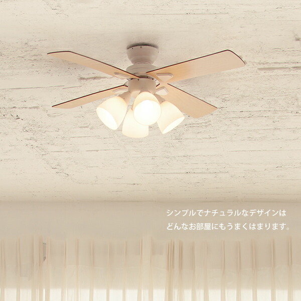 楽天市場】特典付き！ plusmore 【 シーリングファンライト Windouble