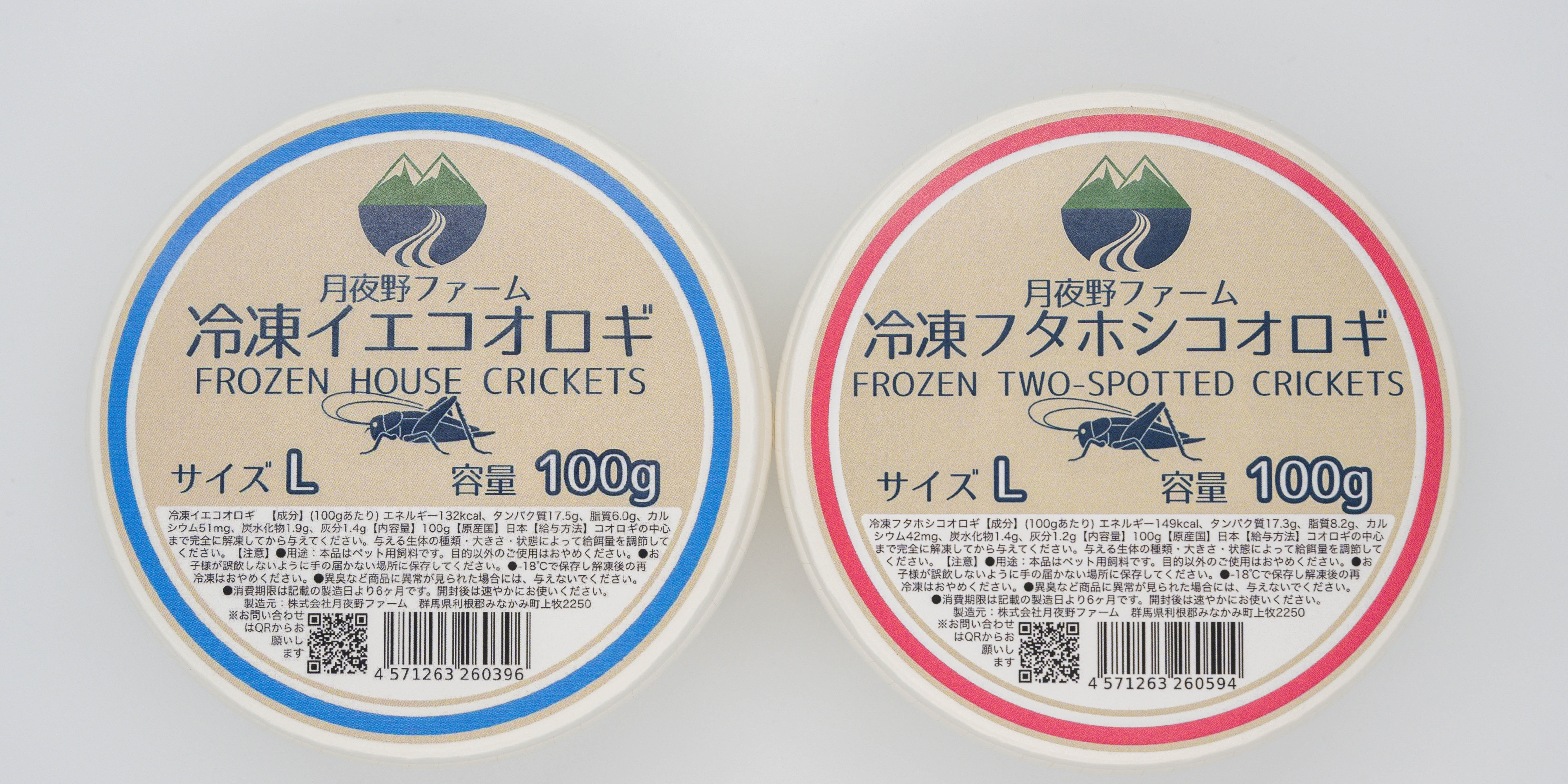 冷凍フタホシML1.2kg 冷凍フタホシML1.2kg 冷凍フタホシML1.2kg 冷凍