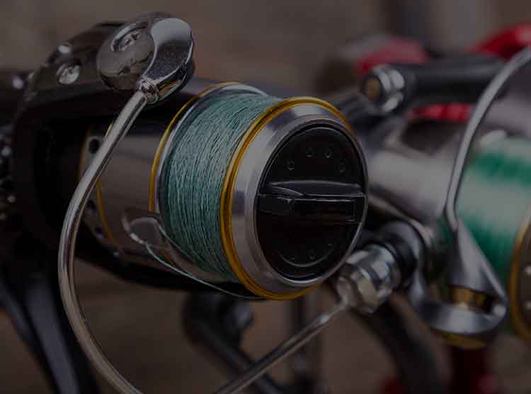 11 BB-X ラリッサ C3000Dのスペック | 釣りクラウド