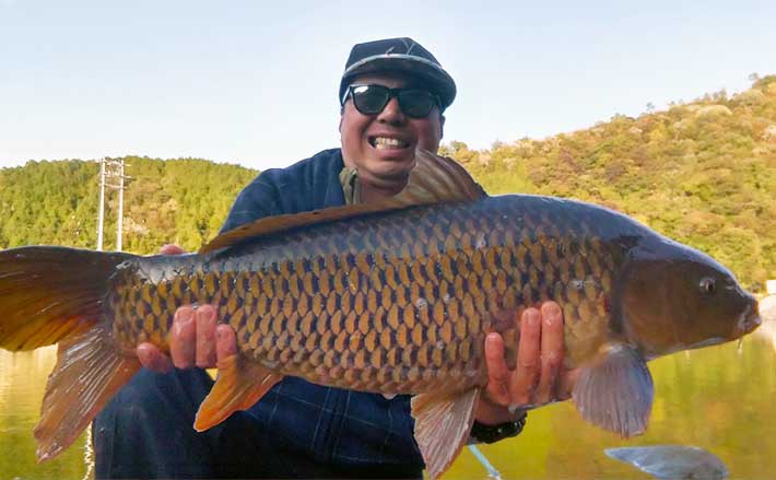 コイ（鯉）釣りのキホン 【魚の種類・生態・道具・エサ・釣り方を解説
