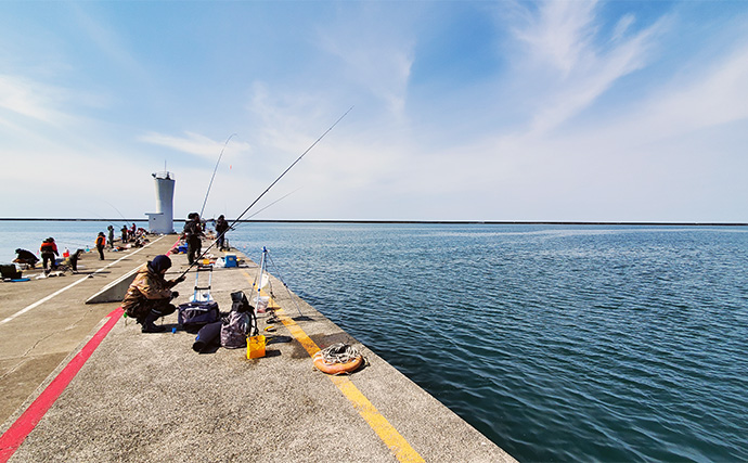 直江津港第3東防波堤で春の大アジを釣ろう！【投げサビキ・カゴ釣り