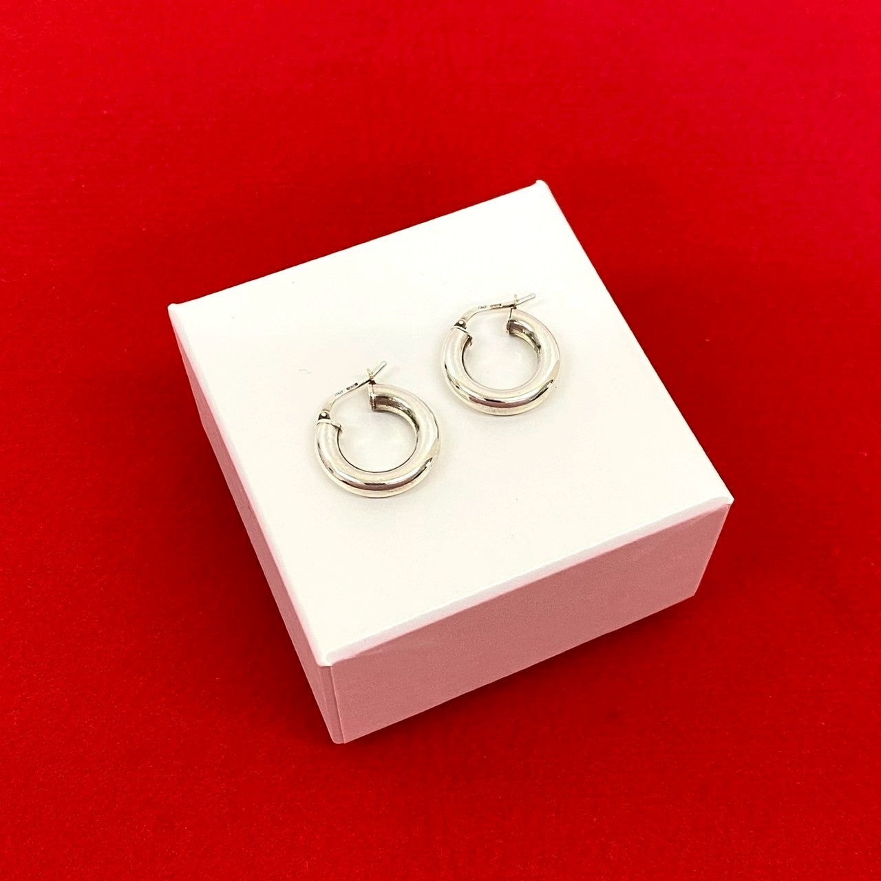 BOTTEGA VENETA ボッテガヴェネタ ピアス – Trip