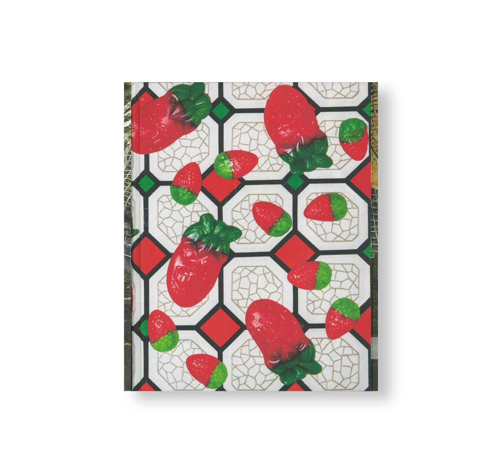 CHEZ WALTI PHOTOGRAPHS 2000–2022 by Walter Pfeiffer – twelvebooks