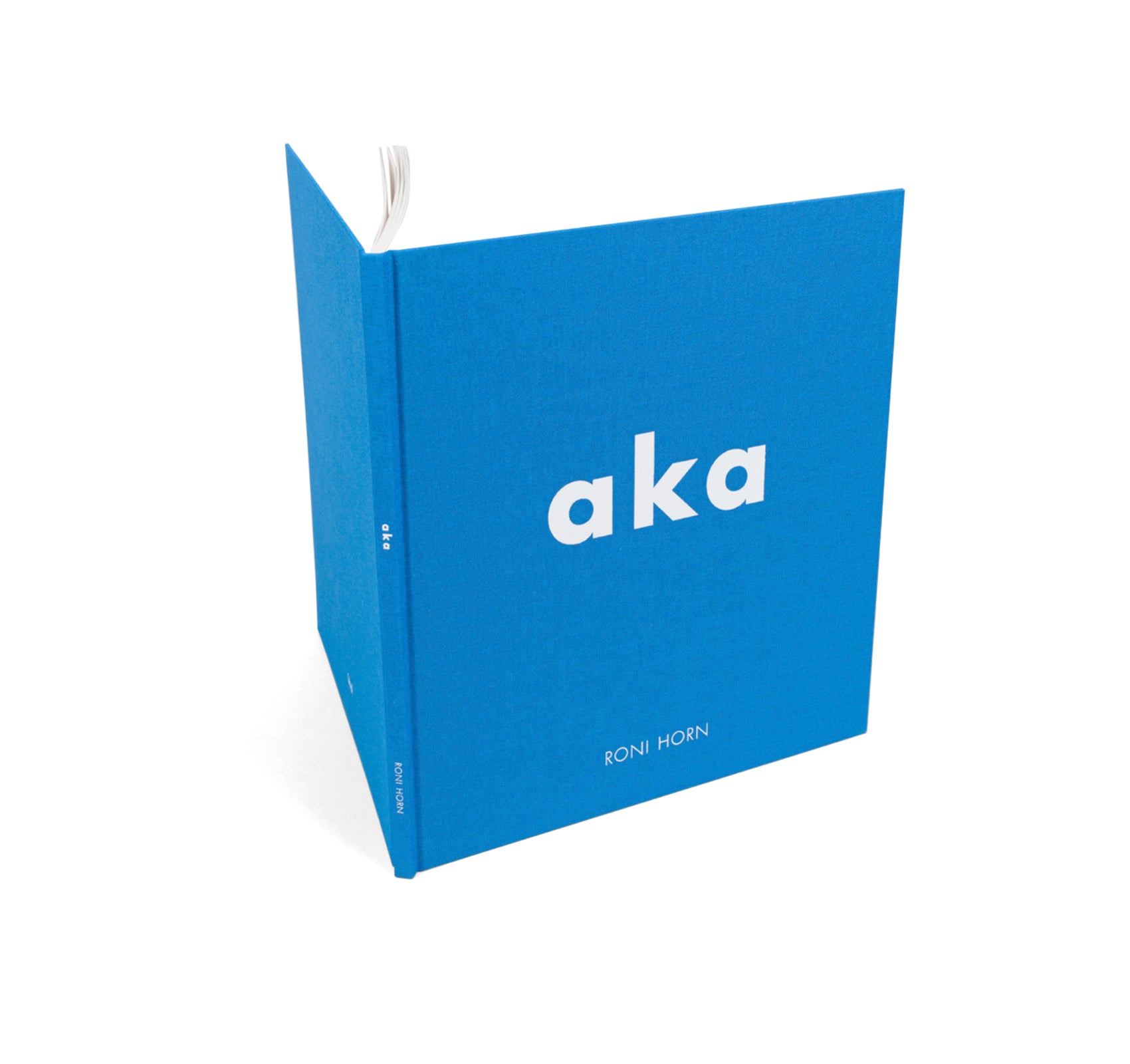 AKA by Roni Horn – twelvebooks